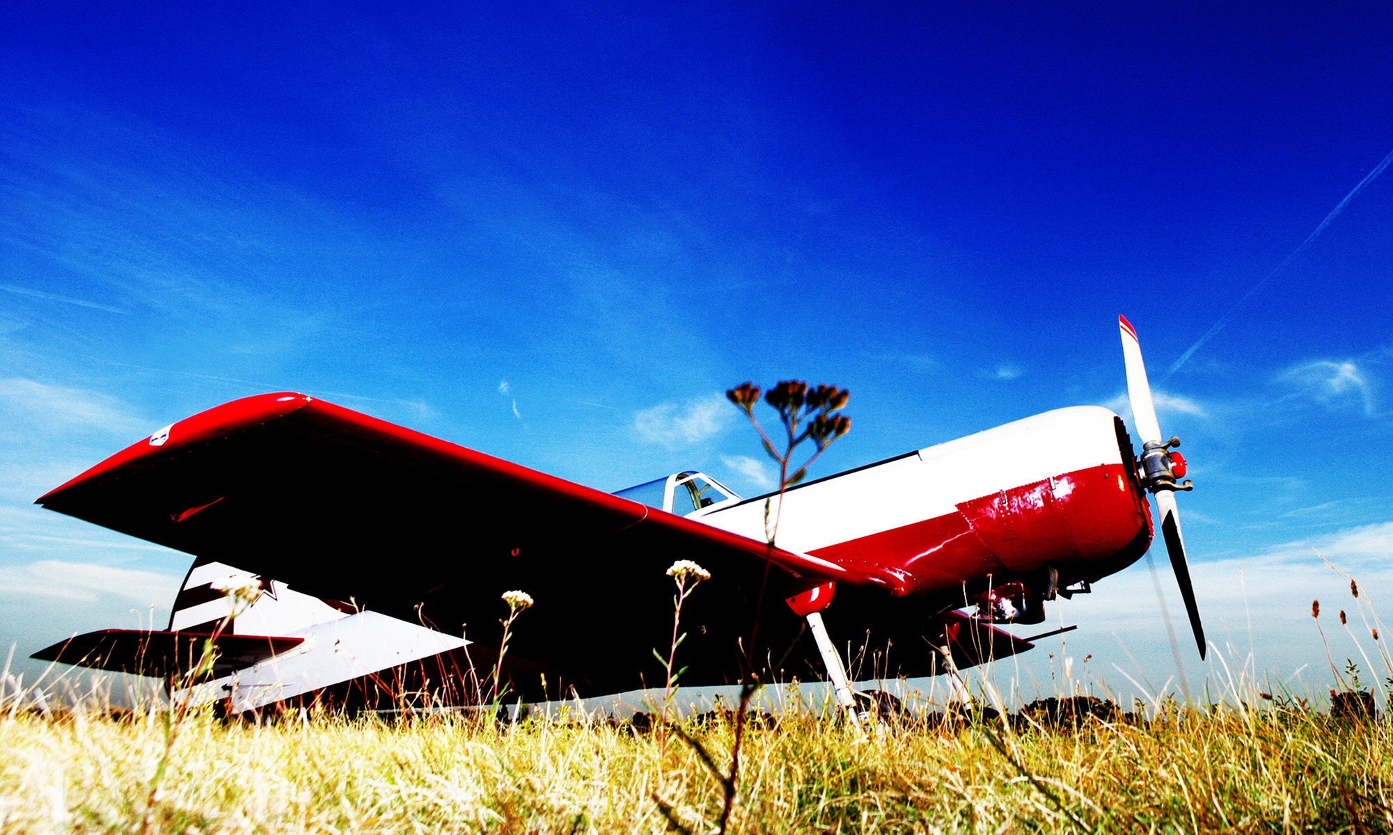 Flugzeug selbst fliegen