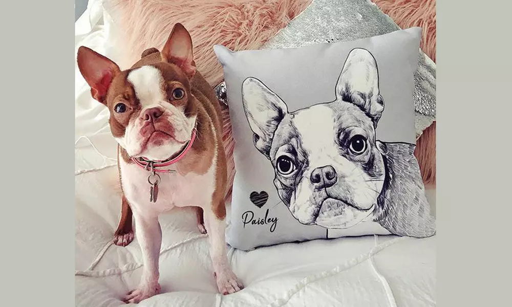 Kissen mit Haustier-Illustration