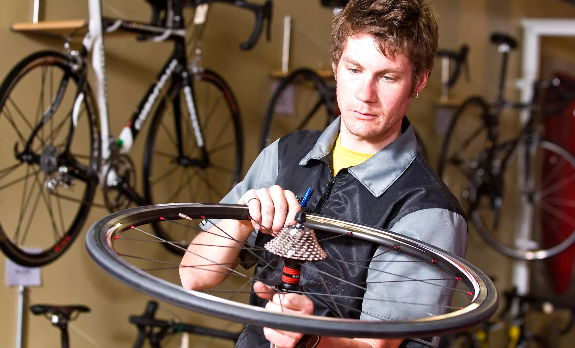 Bike Safety Check, Tune-Up, or Full Overhaul at Cycle Dynamics Bike Shop (Up to 62% Off) - Primary Image