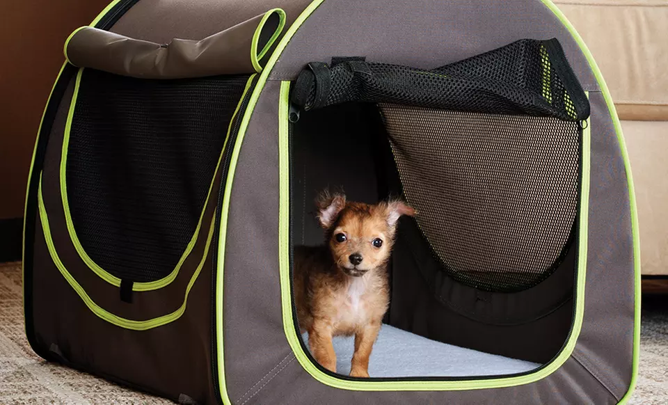 K&H Classy Go Pet Homes - Primary Image