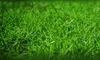 $20 for $45 Worth of Products — Grass Guy