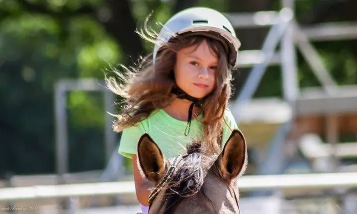 Master the Reins: Confidence-Building 60-Minute Horseback Riding Session at RNR Stables