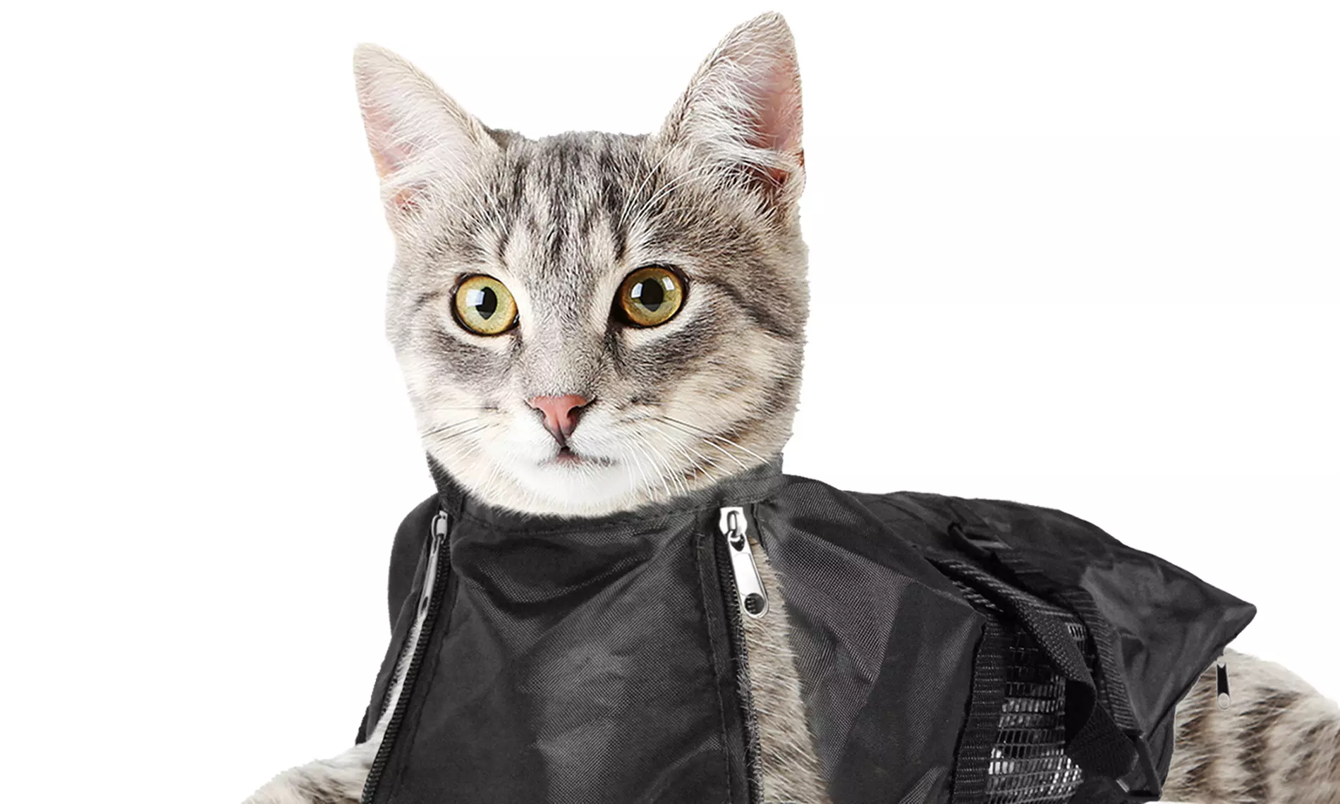 Cat Grooming Restraint Bag with Cat Muzzle - Primary Image