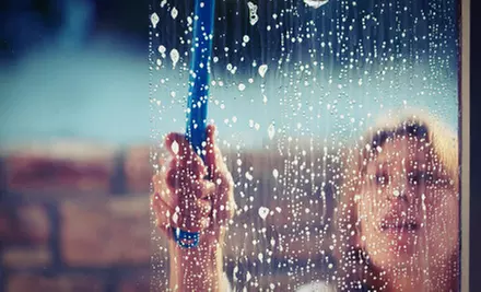 Exterior Washing of 20 or 30 Windows (40 or 60 Panes) from A Clearvue Professional Window Cleaning Service (Up to 54% Off) - Primary Image