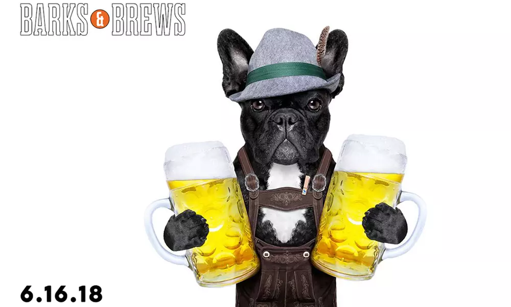 $34 for VIP Admission to Barks & Brews Beer Festival on June 16 at 12 p.m. ($50.77 Value)  - Second Medium