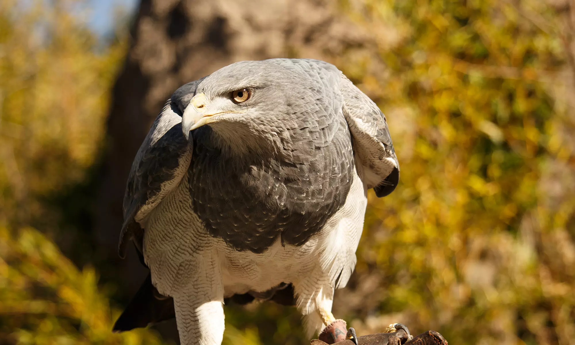 ¡Vive la aventura en Faunia con descuentos especiales para todas las edades! ¡No te lo pierdas! - Primary Image