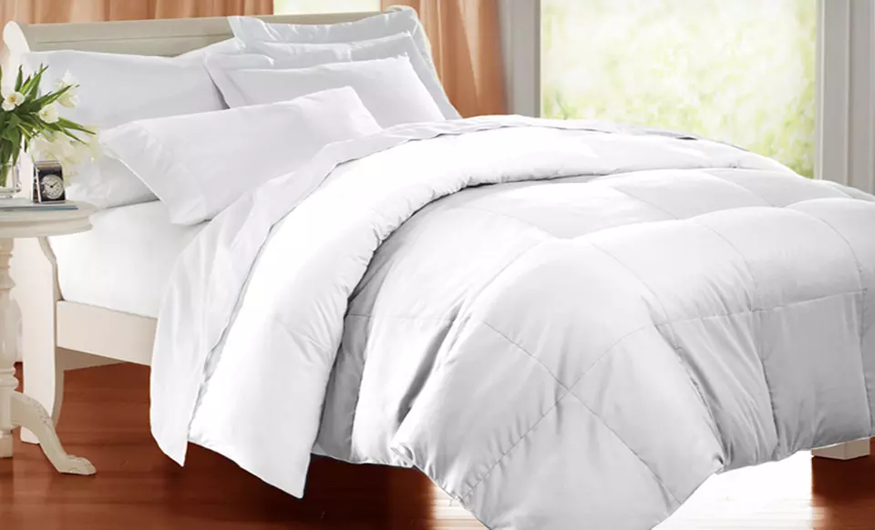All Season Down-Alternative Egyptian Cotton Comforters. Free Shipping and Returns. - Primary Image