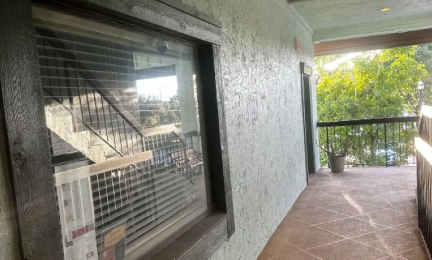 Image 3: Get Full Set Classic, Wet, or Volume Eyelash Extensions + Wax Options