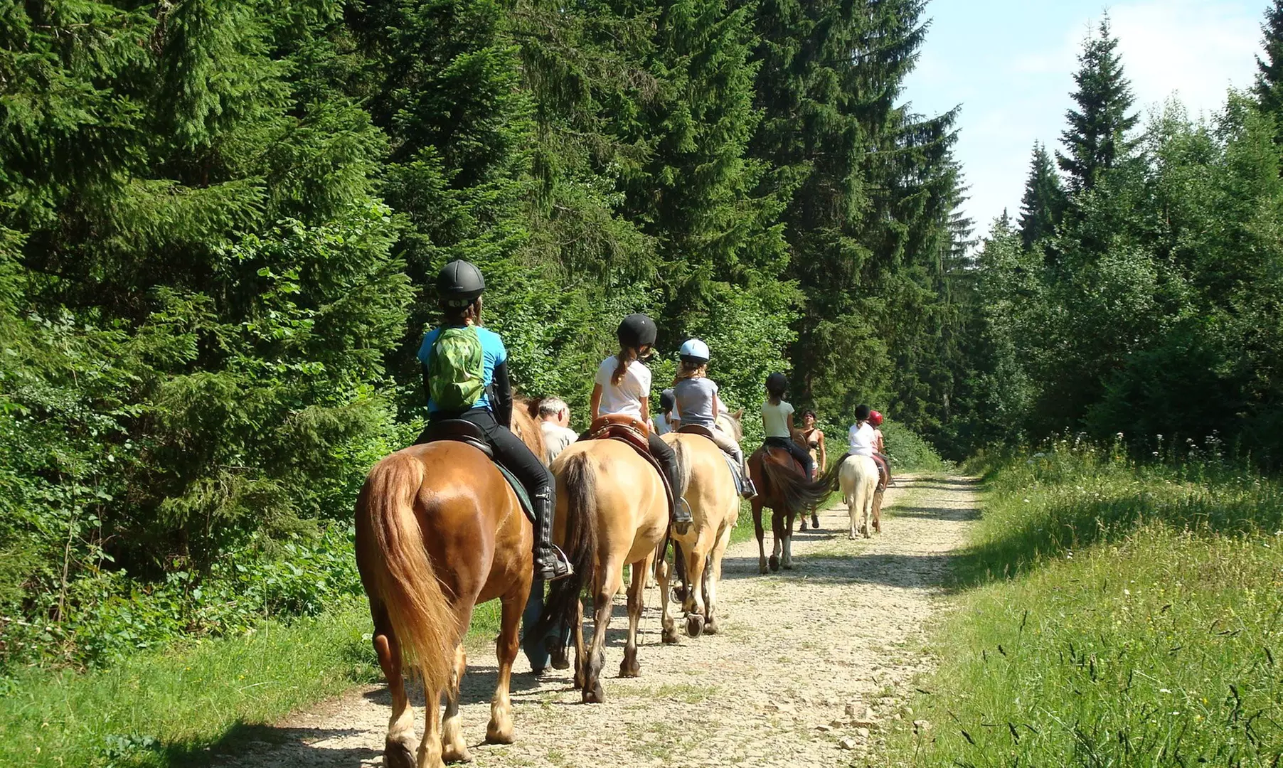 1 ou 2 séances d'initiation au poney d'1h30 pour enfants aux Ecuries Blue Sky - Primary Image