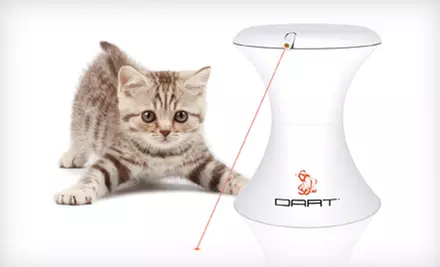 $22 for a FroliCat Dart Rotating Laser Light ($39.95 List Price) - Primary Image