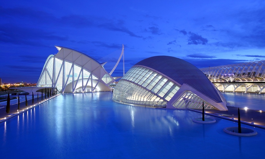 Image 4: Entrada de 1 día al Oceanogràfic, Museo Príncipe Felipe y/o Hemisfèric