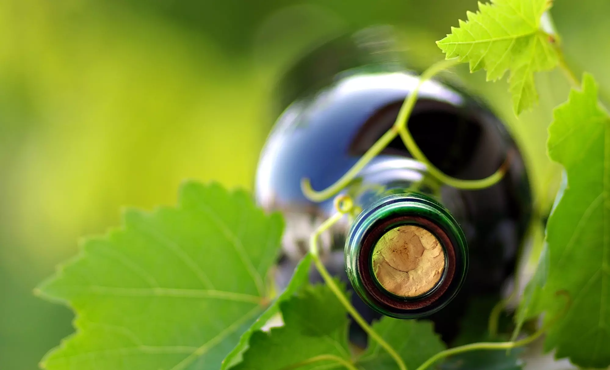 VIP Winery Tour and Tasting Experience for One, Two, or Four at Miramonte Winery (Up to 57% Off) - Primary Image