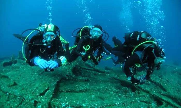 Nurkowanie: PADI Discover Scuba Diving (99,90 zł) i PADI Bubblemaker (189,90 zł) w Centrum Nurkowym Underwater.pl - Image 5