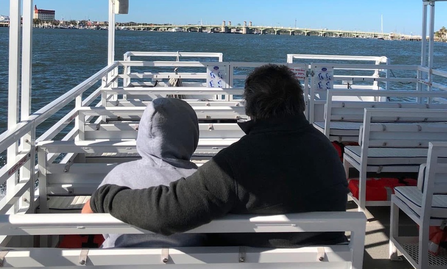 Image 4: 2 Hour Dolphin Daytime Tour 