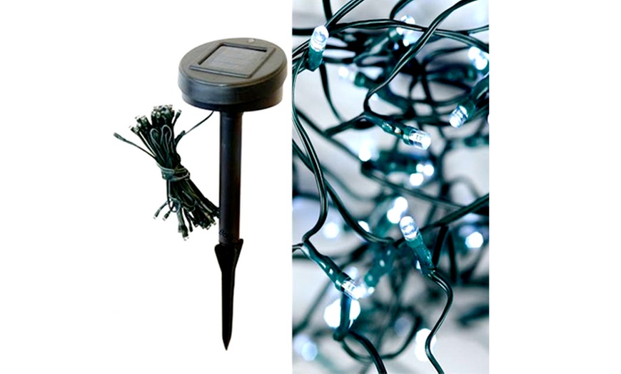 Image 2: 50 LED Solar-Powered Fairy Lights