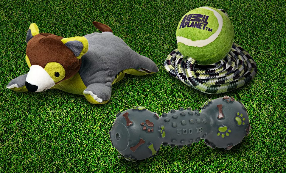 Animal Planet Pet Toy 4-Pack. - Primary Image