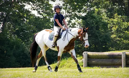 Two Private Horseback-Riding Lessons or One Weeklong Kids’ Summer Camp at Briarstone Riding Academy (Up to 55% Off) - Primary Image