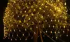 100 LED Fairy Lights Net