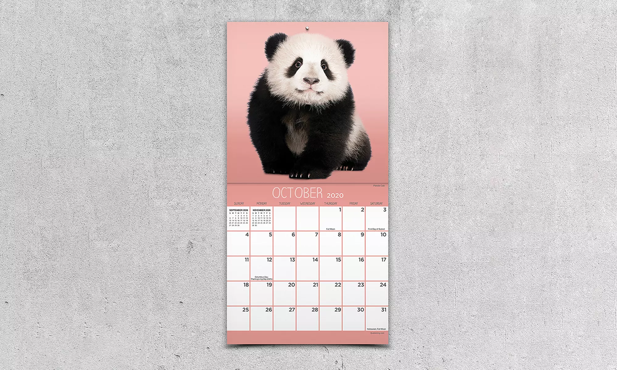 2020 7"x7" Mini Wall Calendar - Primary Image