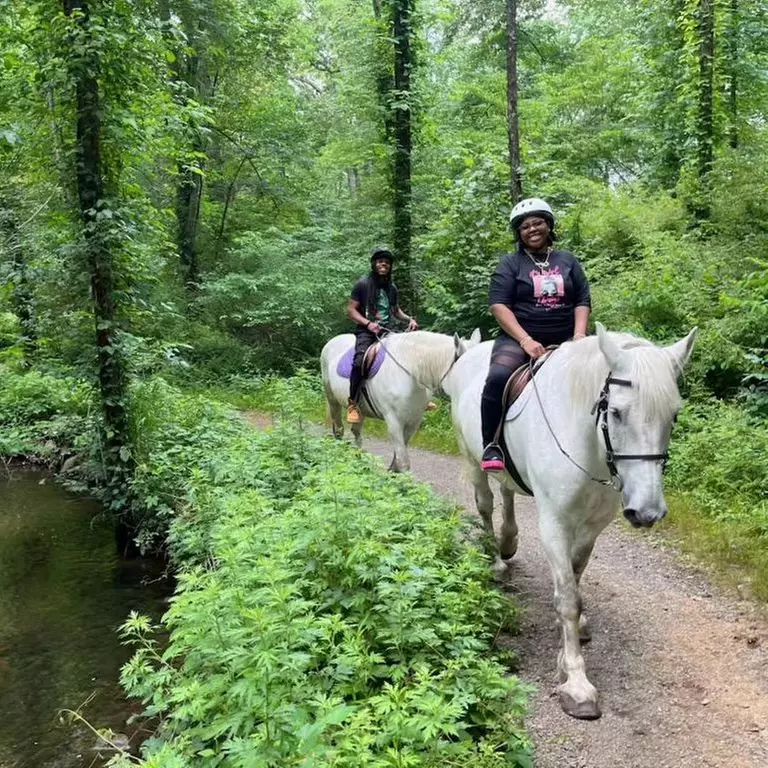 Up to 38% Off on Horse Back Riding at Seaton Hackney County Stables