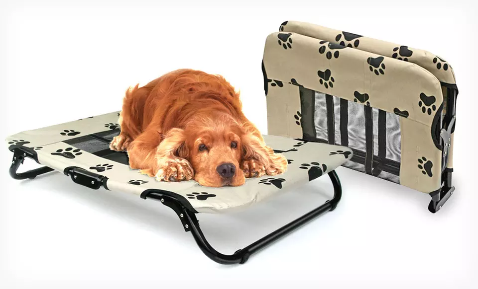 $29.99 for The Pet Store Foldable or Canopied Pet Cots ($99.99 List Price). Free Shipping and Free Returns. - Primary Image