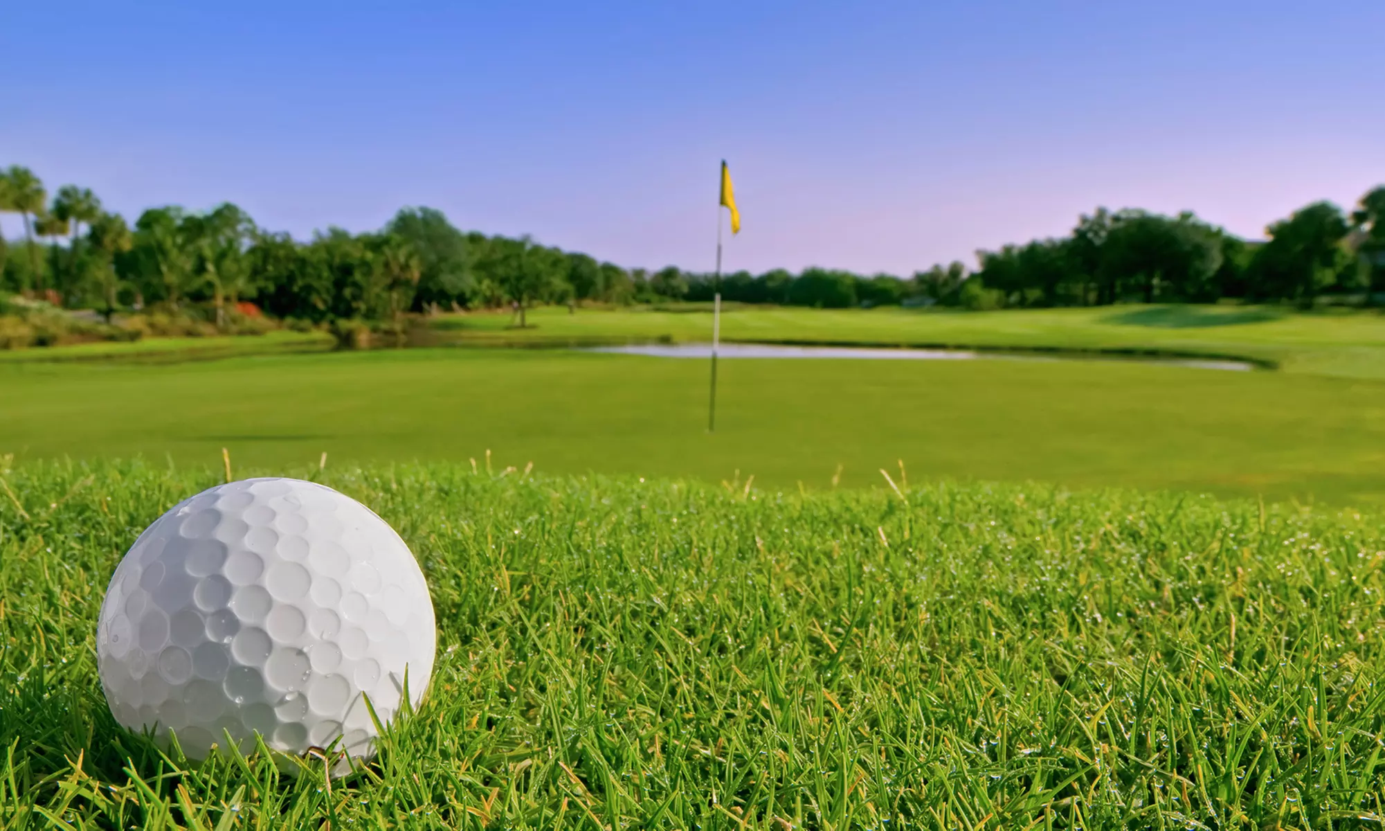 One- or Three-Month Online Golf Instruction Membership from RotarySwing.com (Up to 55% Off)  - Primary Image