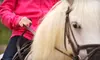 $45 for Two One-Hour Private Horseback-Riding Lessons at Little Feather Ranch in Eagle ($90 Value)