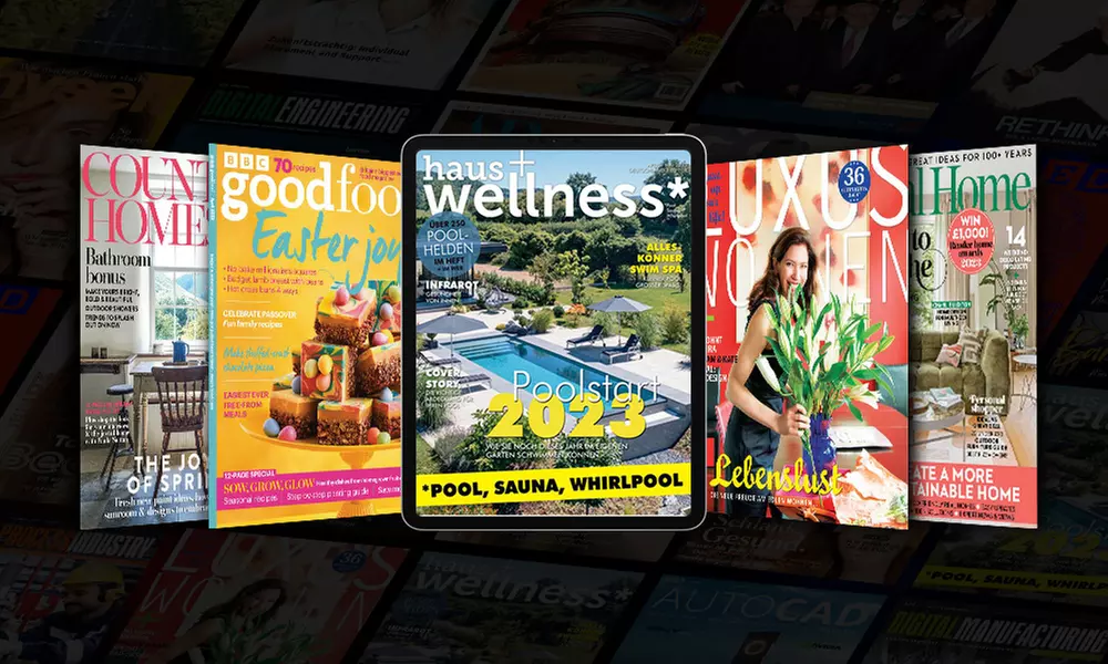 12-Monats-E-Abonnement