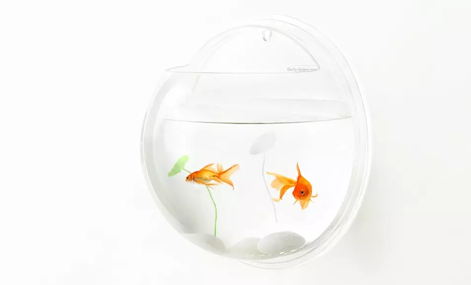 $13.99 for a Daily Green Wall Deco Terrarium or Aquarium ($24.99 List Price). Free Returns. - Primary Image