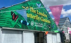 Magic of London Butterfly Gardens with Entry for Adults and Children!