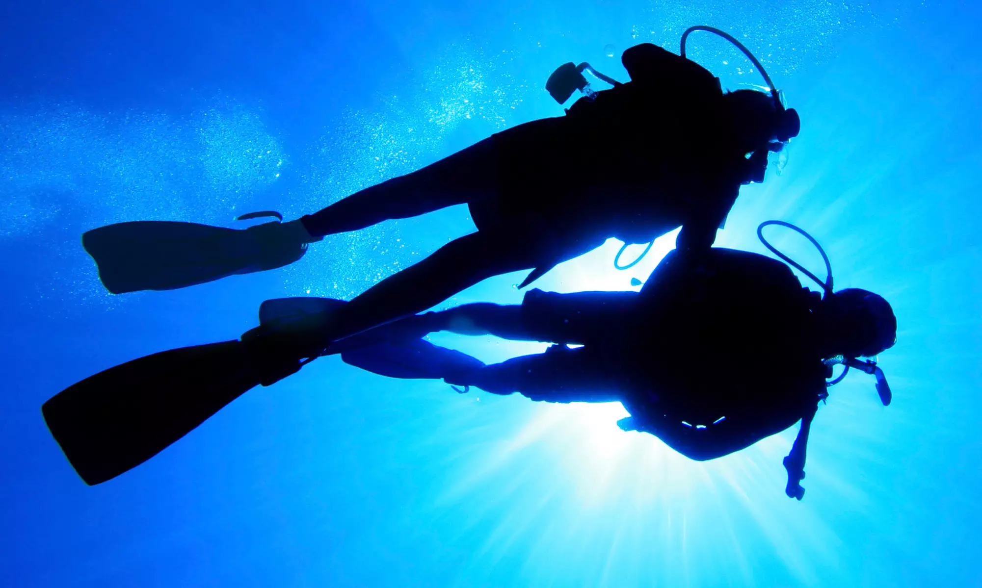 $199 for a PADI Open-Water Scuba Certification Course at Brian Anderson Dive and Scuba School ($400 Value) - Primary Image