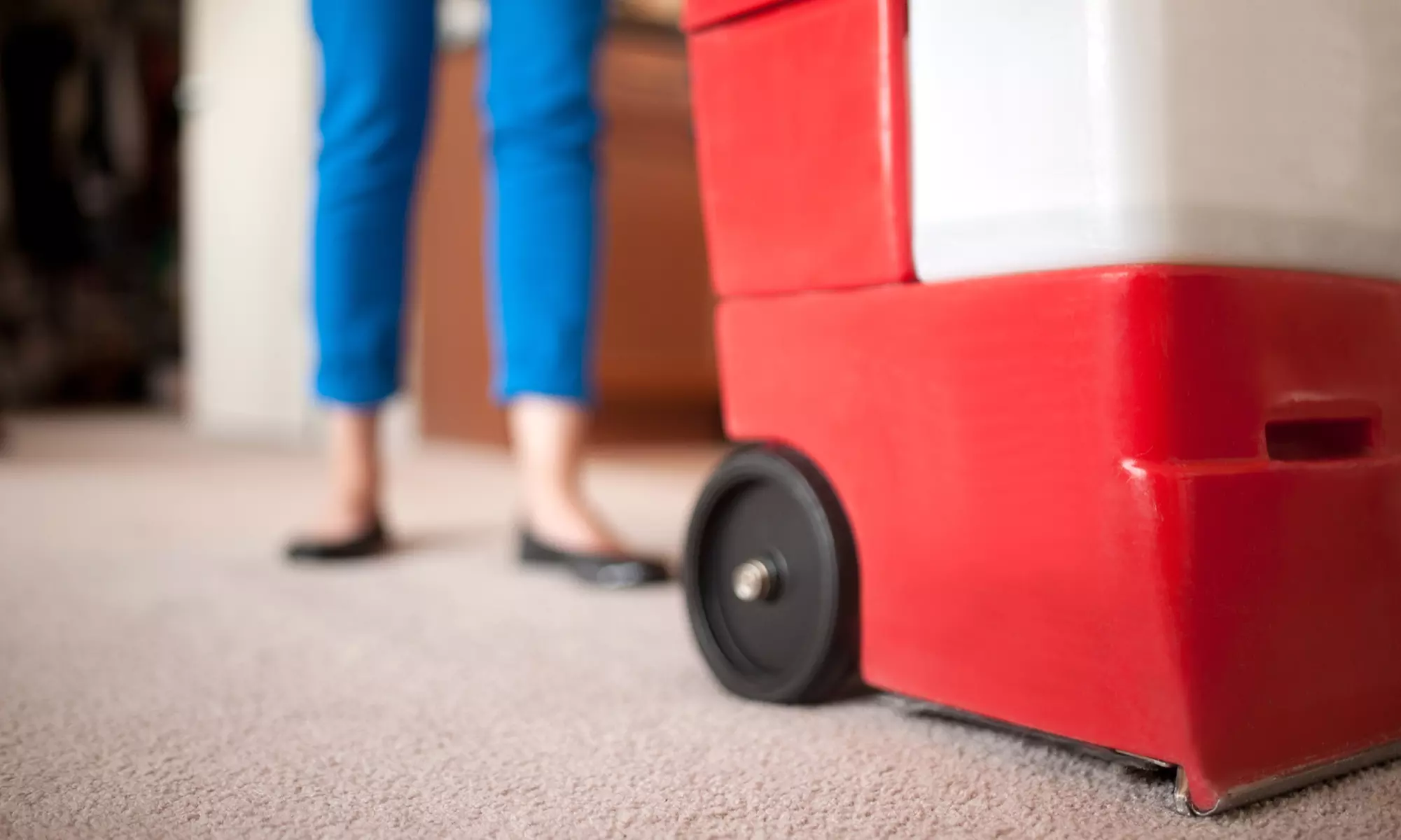 $159 for Whole-House Deep-Clean Carpet Cleaning from Bay Area Carpet Master ($420 Value) - Primary Image