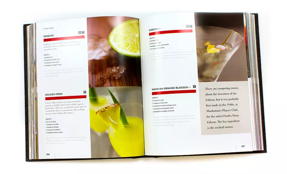 The Bartender's Guide Recipe Book - Second Medium