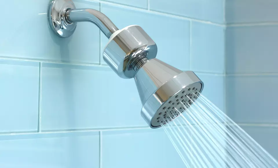 Aquasana Inline Shower Filter. Free Shipping and Returns. - Primary Image