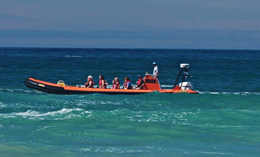 Image 2: Camel Estuary Powerboat Tour