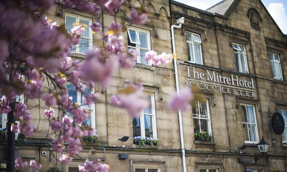 Perfect Gift: Indulge in a Luxurious Cheese & Charcuterie Experience