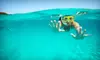 $42 for One-Day Ecological Camp for Kids Ages 6–14 at Jupiter Outdoor Center (Up to $85 Value). Twelve Dates Available.