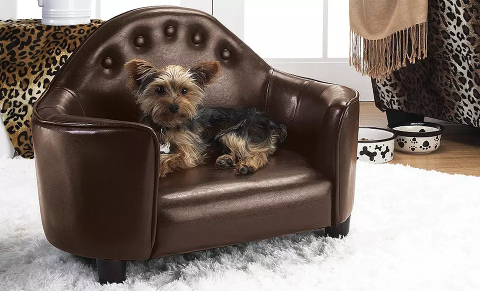 Pet Beds and Loungers. Multiple Options Available. Free Shipping and Returns. - Primary Image
