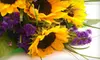 $25 for $50 Worth of Annuals and Perennials at Mayflower Gardens in Fort Branch