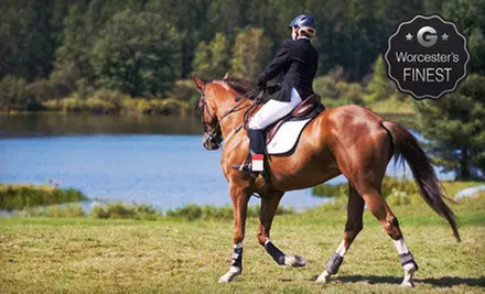 Two or Four Private Horseback-Riding Lessons or Private Riding Party at Legacy Stables (Up to 62% Off) - Primary Image
