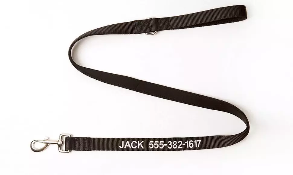 Personalized Dog Leashes From Qualtry (Up to 62% Off). Five Options Available.  - Second Medium