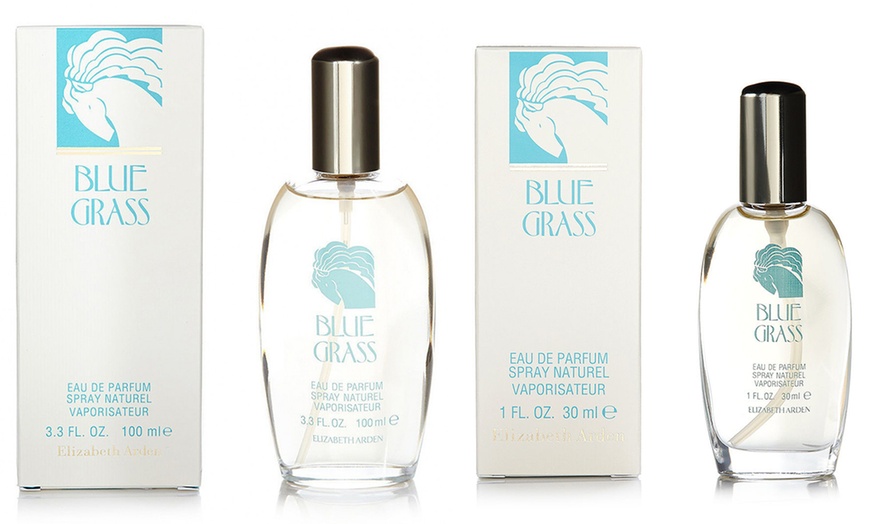 Image 1: Elizabeth Arden Blue Grass EDP