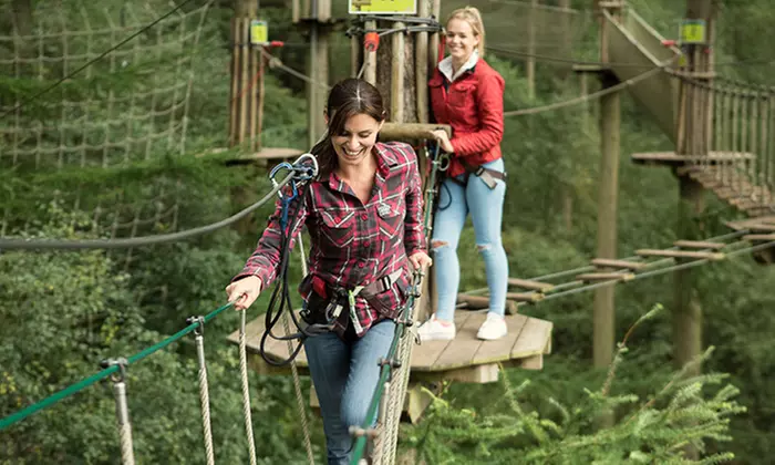 Gorillas' or Baboons' Tree Top Adventures at Go Ape, 29 Locations - Image 6