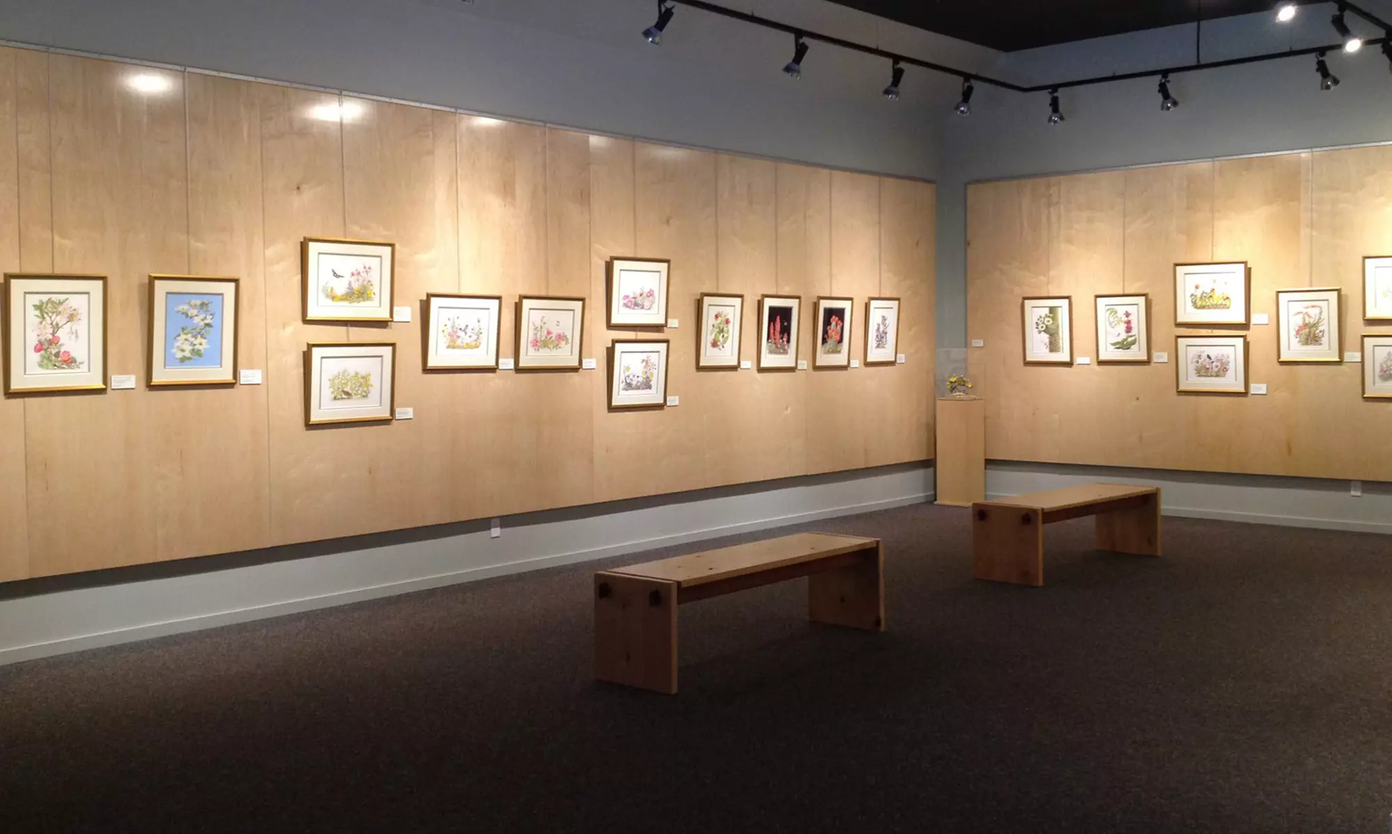 Entry for Two, Four, or Six at the Wildling Museum (48% Off) - Primary Image
