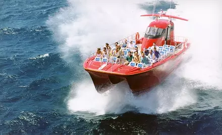 Two-Hour High-Speed Adventure Boat Tour for One or Two from 1000 Islands & Seaway Cruises (Up to 51% Off) - Primary Image