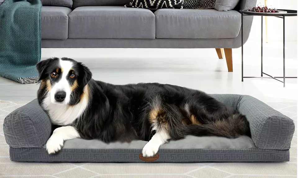 Cucce, lettini e divanetti per cani e gatti in vari modelli e misure