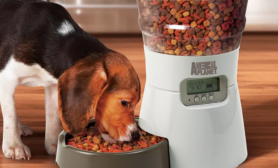 Animal Planet Pet Feeder - Primary Image