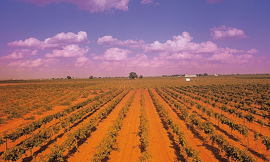 Image 3: Visita a bodega, cata y comida