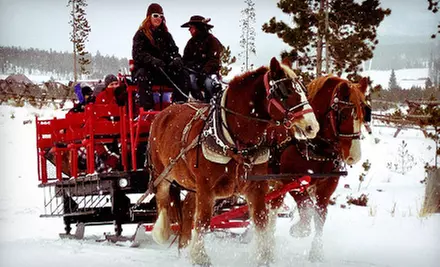 Hot-Cocoa or Dinner Sleigh Ride for Two or Four at Sombrero Stables (Up to 55% Off) - Primary Image