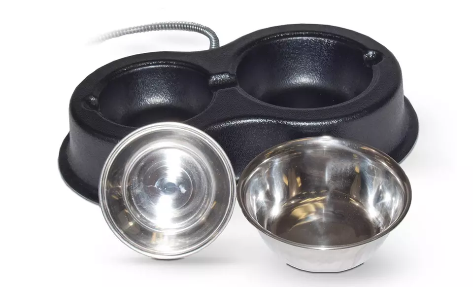 Thermo-Kitty Cafe Cat Bowl - Second Medium
